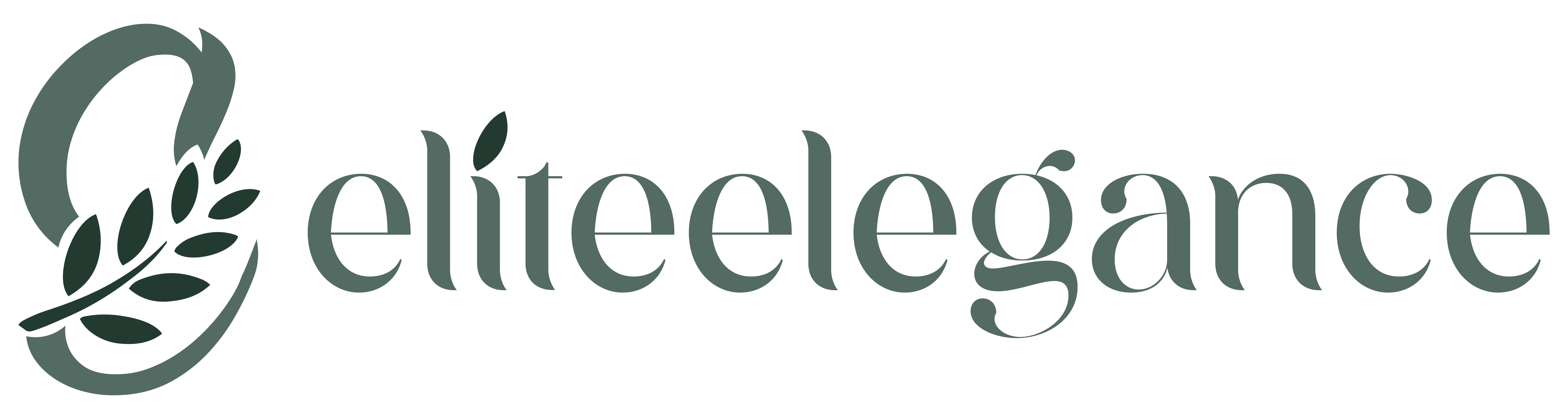 Eliteelegance eliteelegance